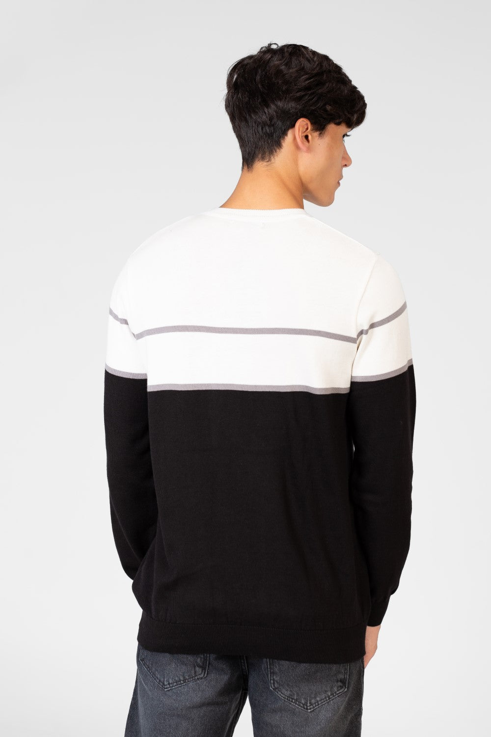 Men's Two Tone Crew Neck Sweater Pullover