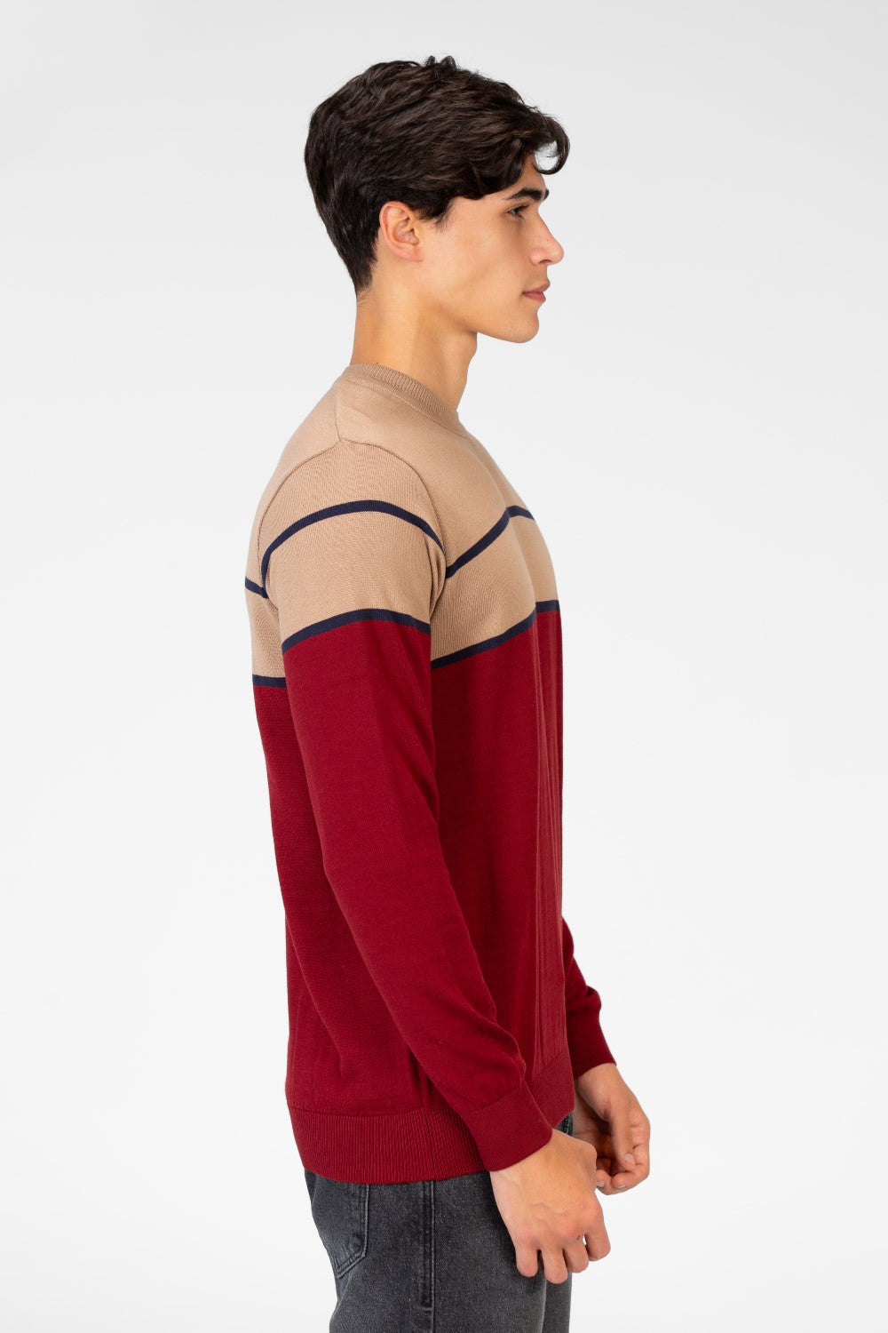 Men's Two Tone Crew Neck Sweater Pullover
