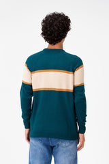 Men's Regular Fit Crew Neck Pullover