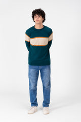 Men's Regular Fit Crew Neck Pullover