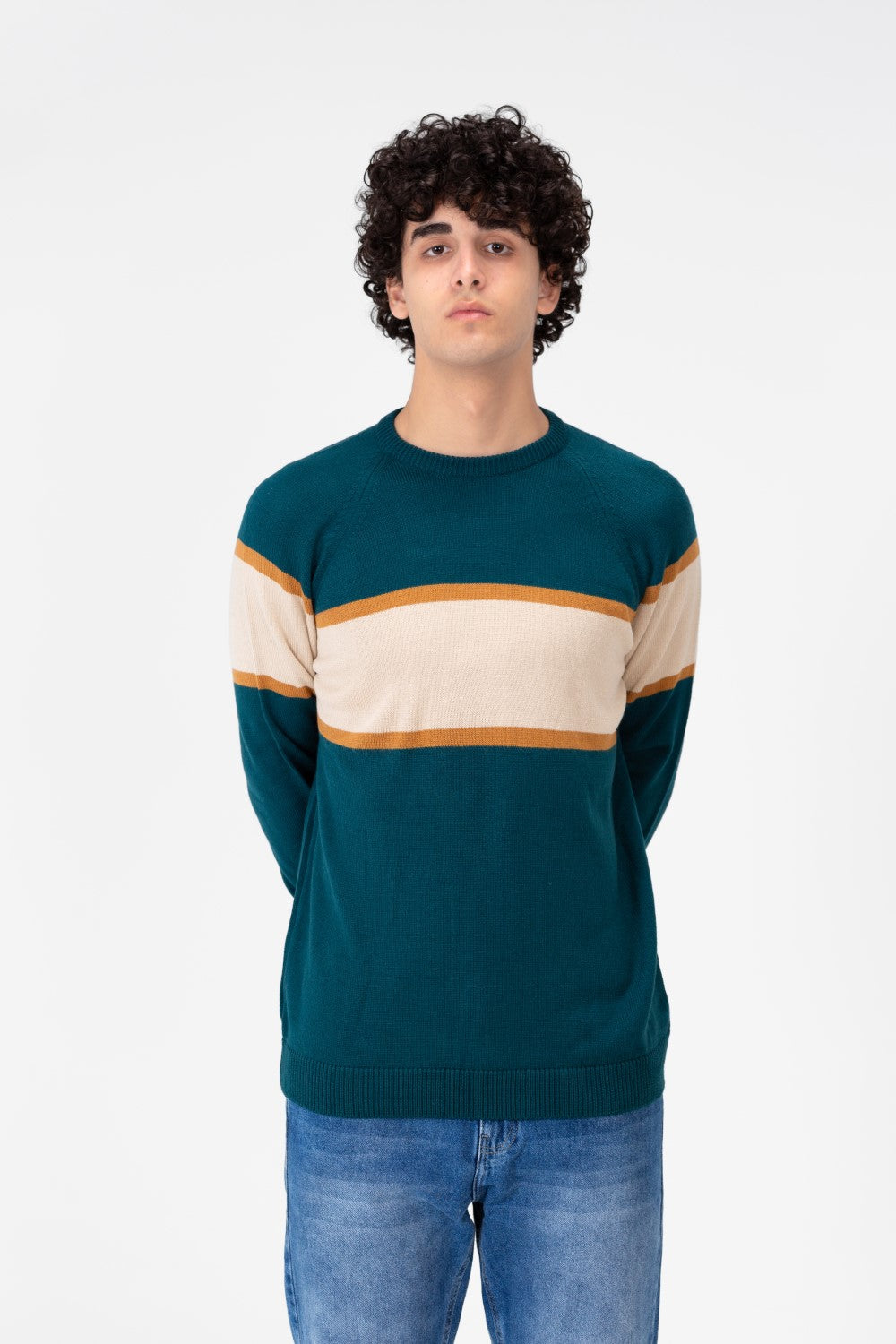 Men's Regular Fit Crew Neck Pullover