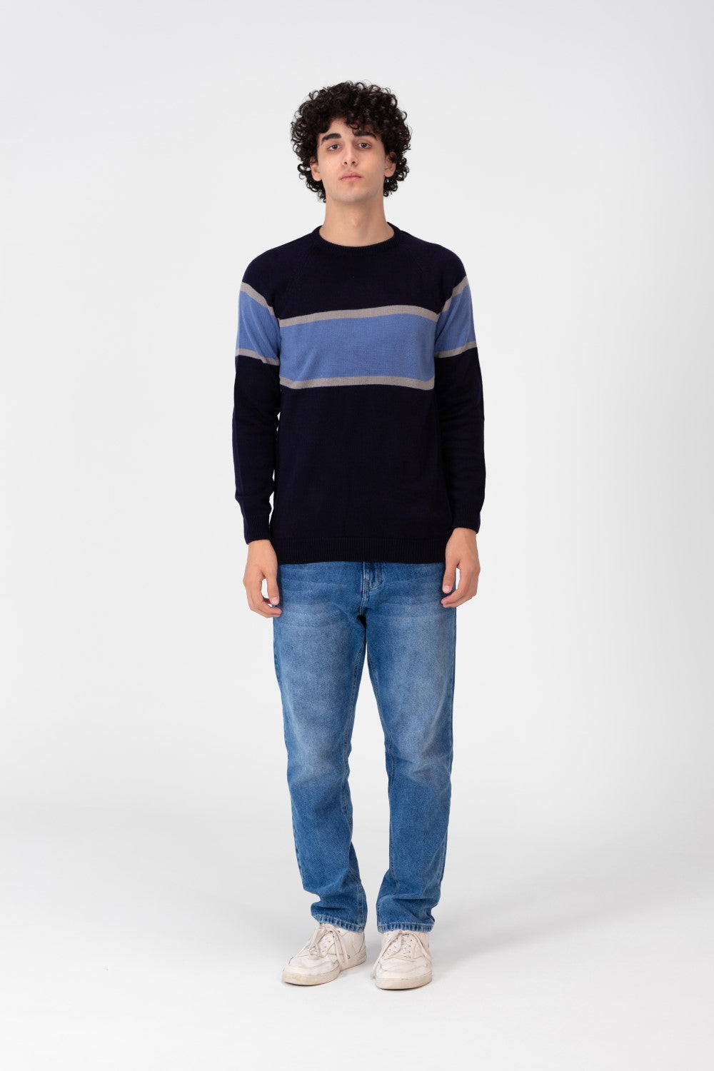 Men's Regular Fit Crew Neck Pullover