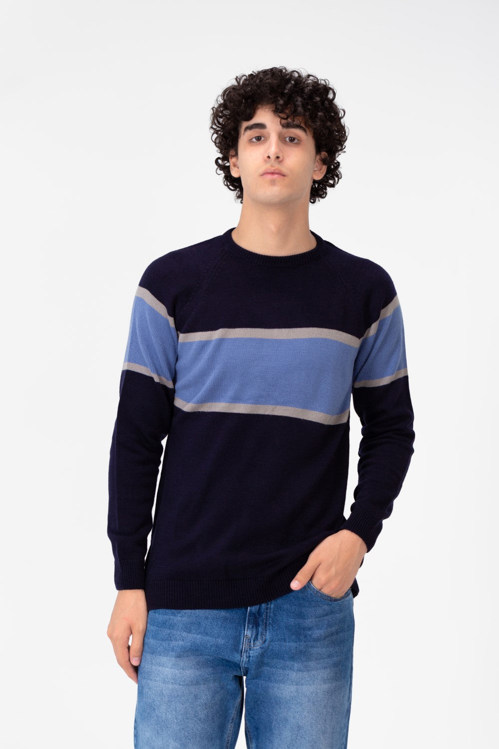 Men's Regular Fit Crew Neck Pullover