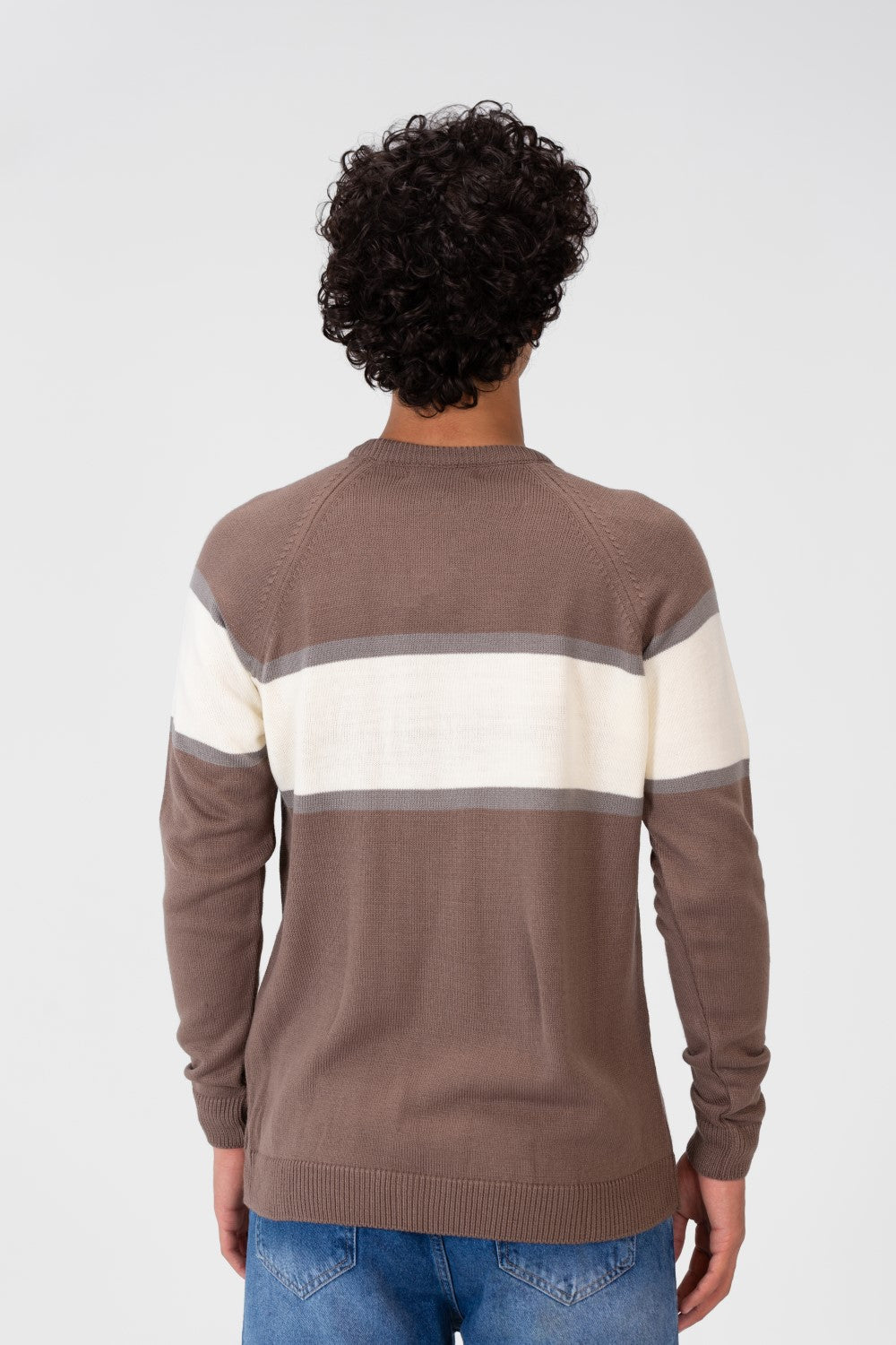 Men's Regular Fit Crew Neck Pullover