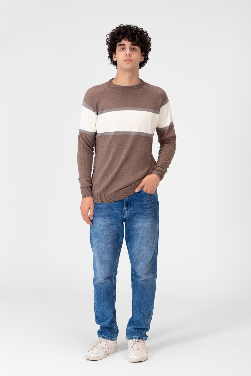 Men's Regular Fit Crew Neck Pullover