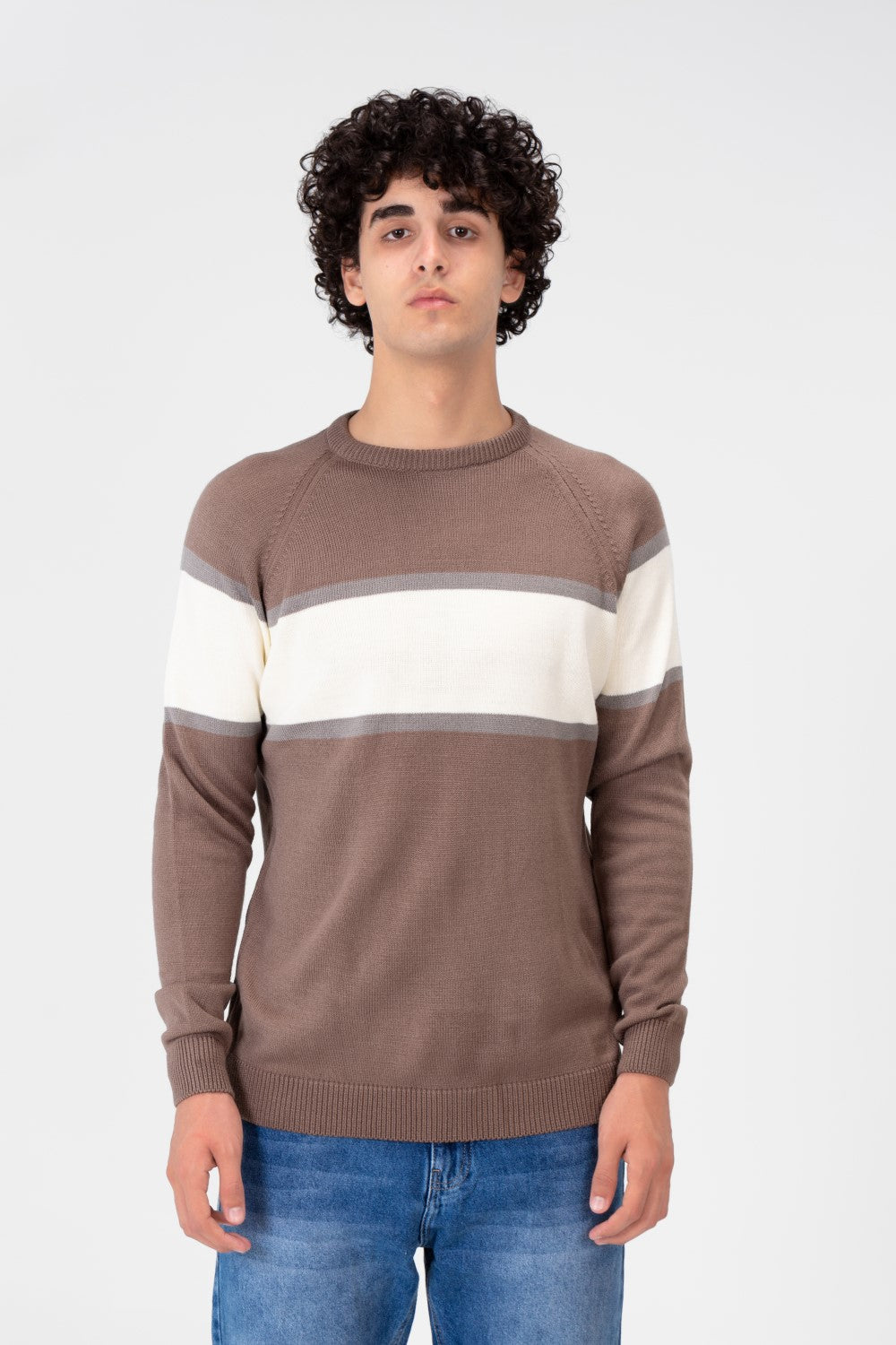 Men's Regular Fit Crew Neck Pullover
