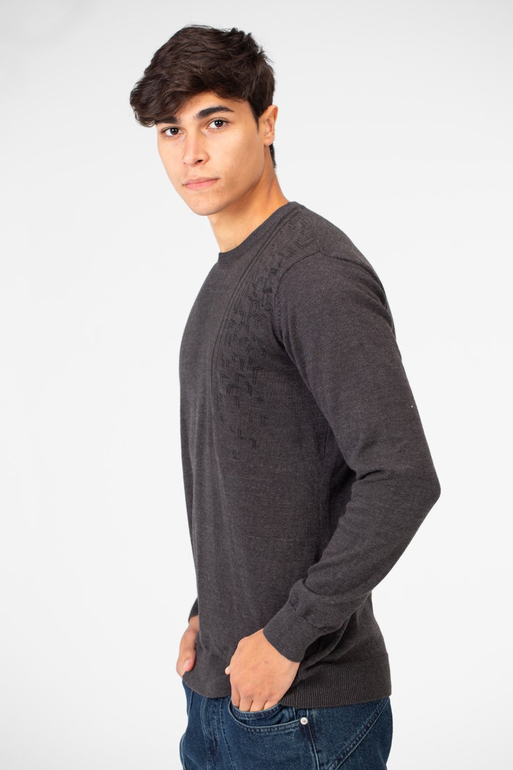 Men's Printed Cotton Round Neck Pullover With A Distinctive Design