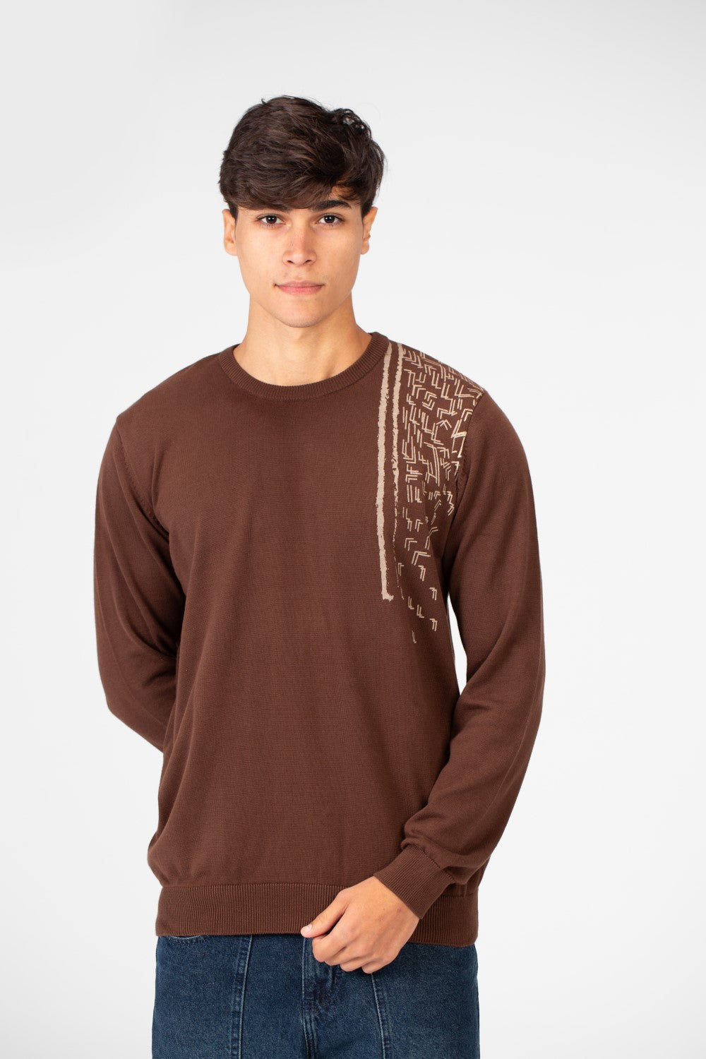 Men's Printed Cotton Round Neck Pullover With A Distinctive Design