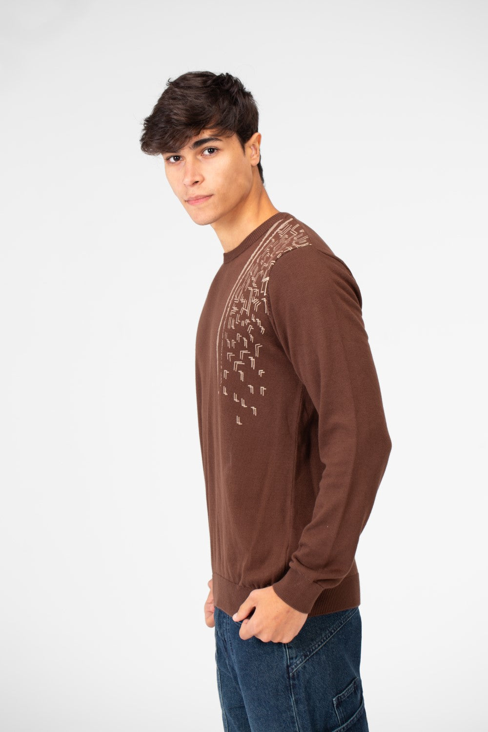 Men's Printed Cotton Round Neck Pullover With A Distinctive Design