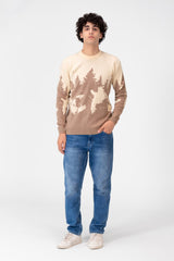 Men's Printed Crew Neck Regular Fit Pullover