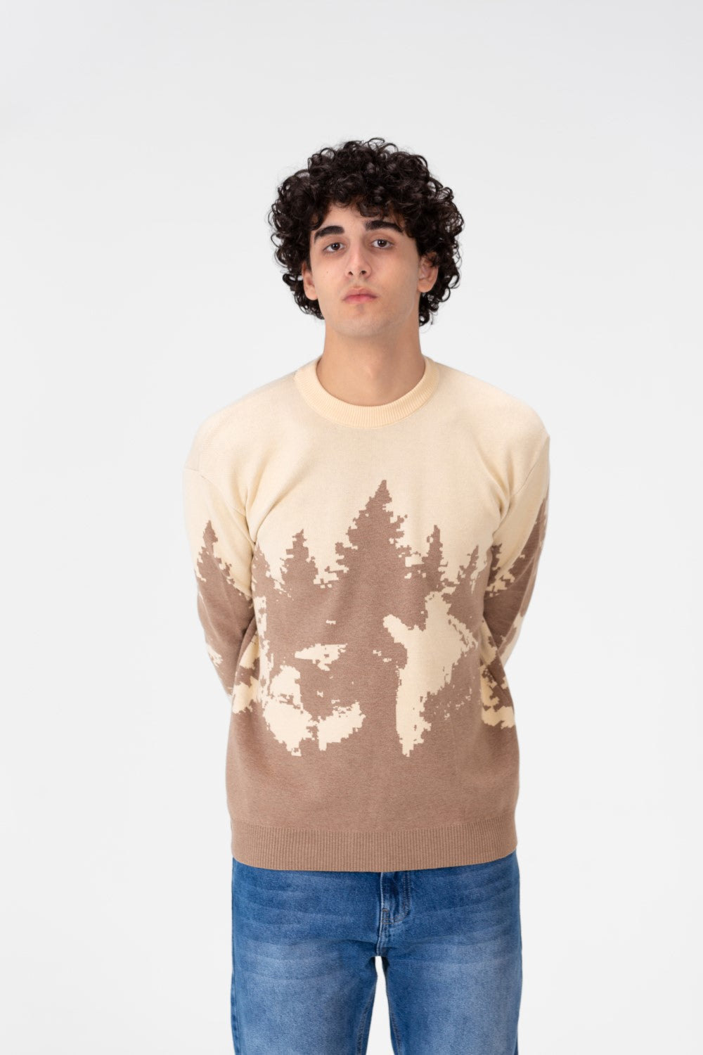 Men's Printed Crew Neck Regular Fit Pullover