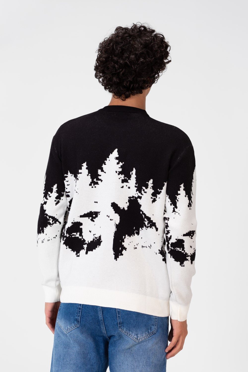 Men's Printed Crew Neck Regular Fit Pullover
