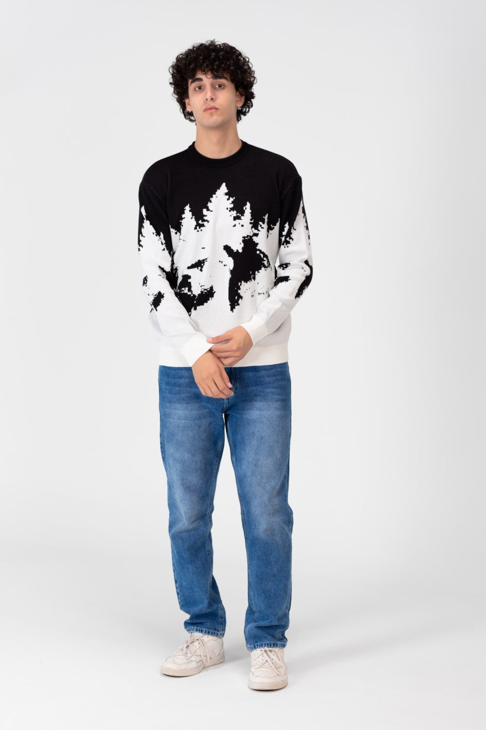 Men's Printed Crew Neck Regular Fit Pullover