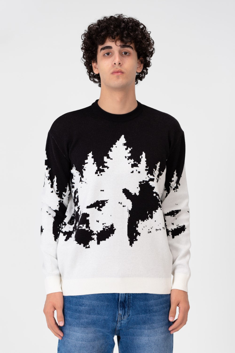 Men's Printed Crew Neck Regular Fit Pullover