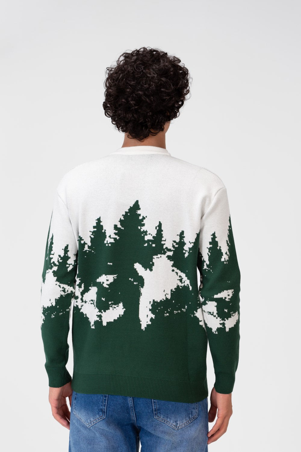 Men's Printed Crew Neck Regular Fit Pullover
