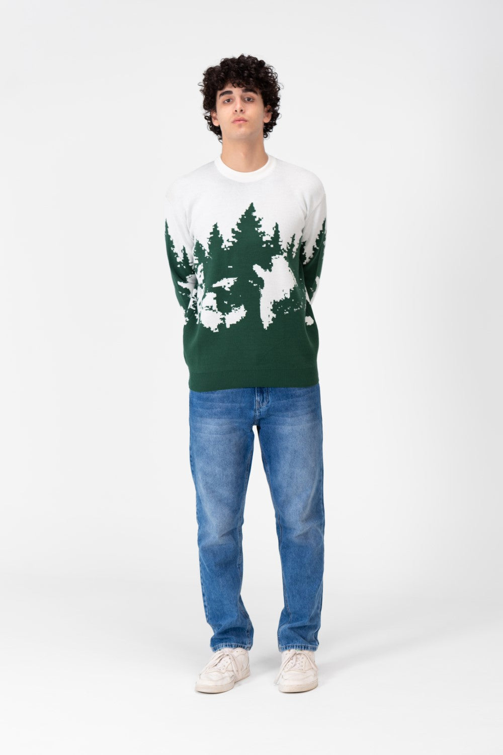 Men's Printed Crew Neck Regular Fit Pullover
