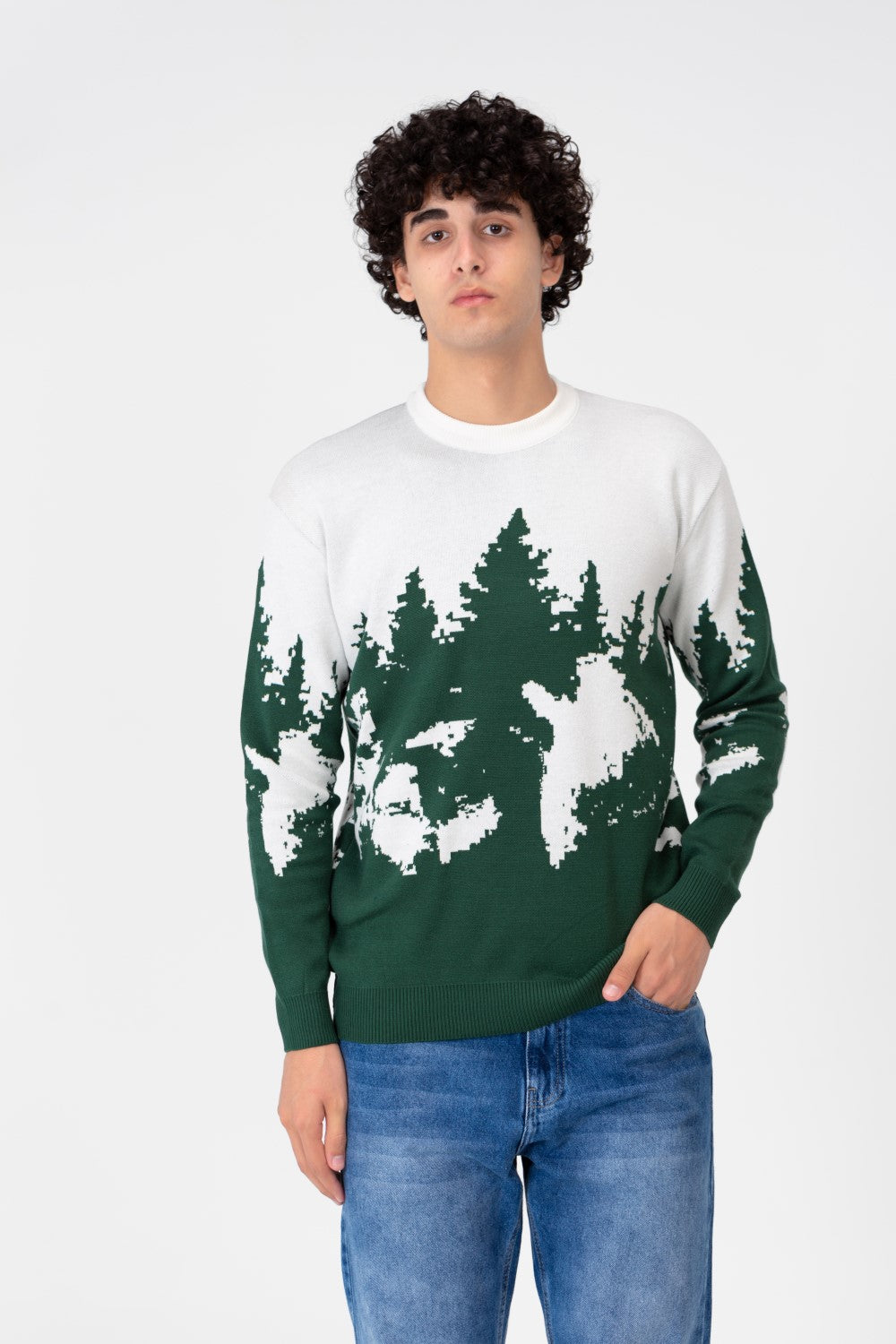 Men's Printed Crew Neck Regular Fit Pullover