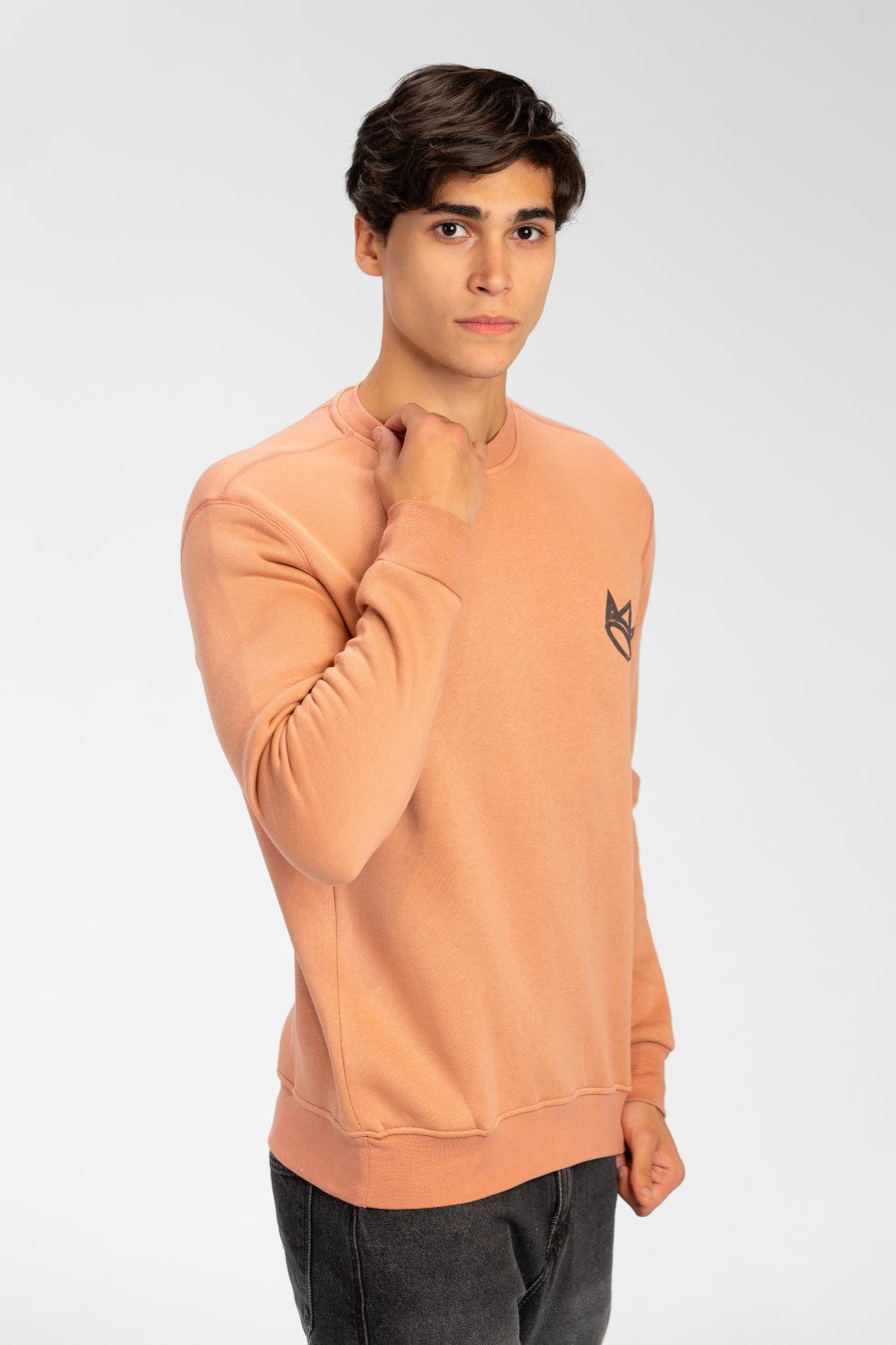 سويت شيرت رجالي برقبة دائرية مع طباعة تاج على الجهة الأمامية