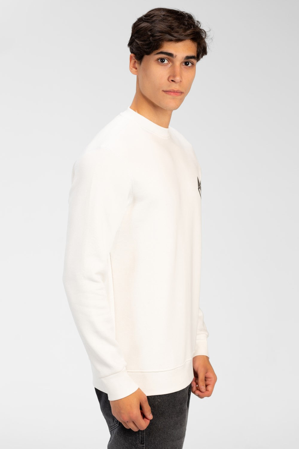 سويت شيرت رجالي برقبة دائرية مع طباعة تاج على الجهة الأمامية