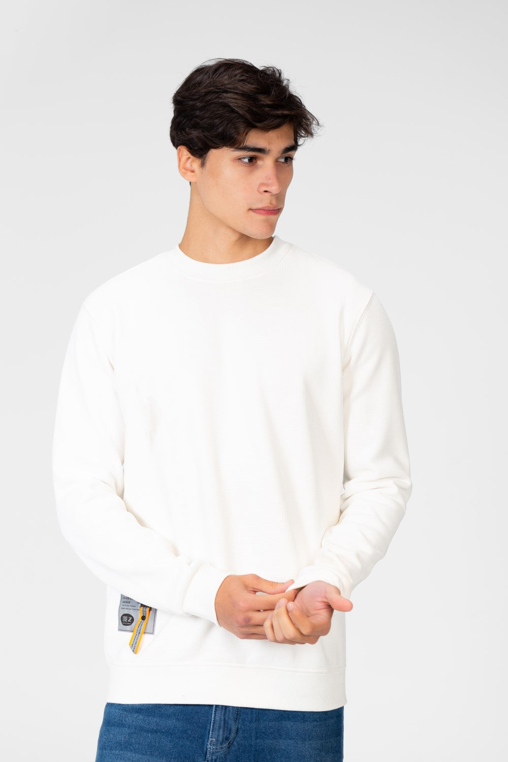 سويت شيرت رجالي برقبة دائرية بألوان أساسية