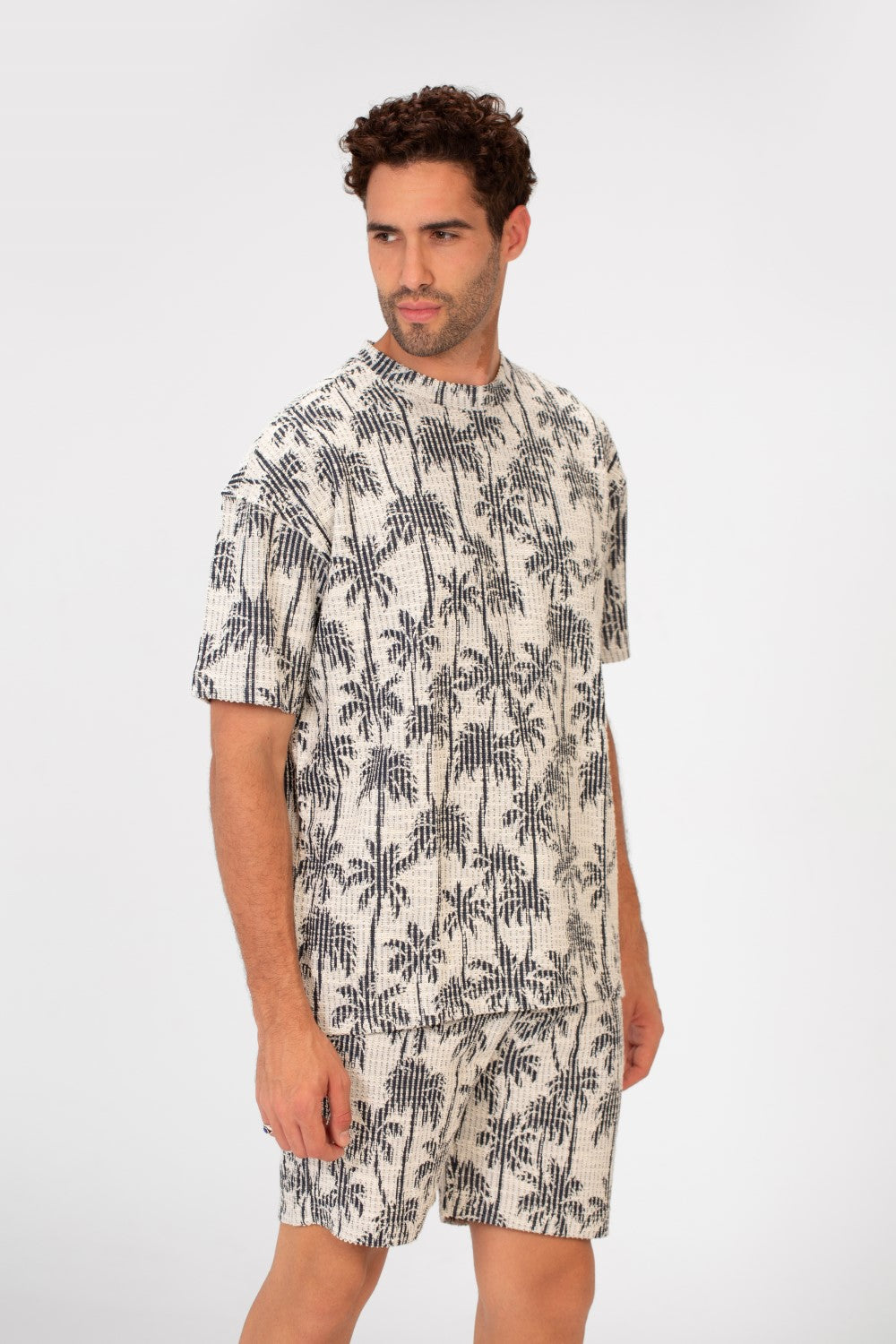 طقم رجالي بمقاس عادي يتكون من تي شيرت بأكمام نصفية وشورت