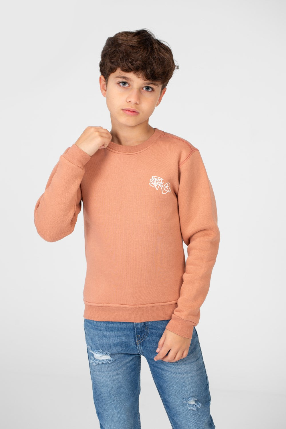 سويت شيرت مطبوع برقبة دائرية للأولاد
